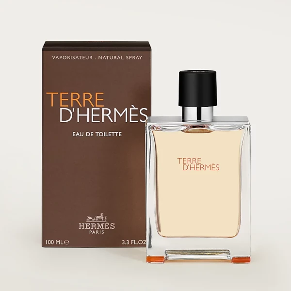 Hermes Terre d'Hermes eau de toilette vaporisateur